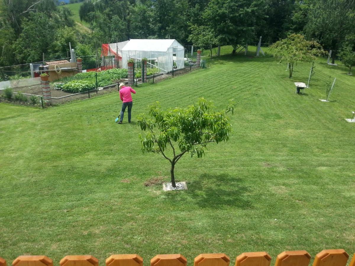 Sostanj Velenje Ravne Sobe Rooms Vrtacnik D O O Exteriör bild