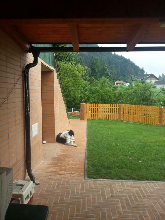 Sostanj Velenje Ravne Sobe Rooms Vrtacnik D O O Exteriör bild