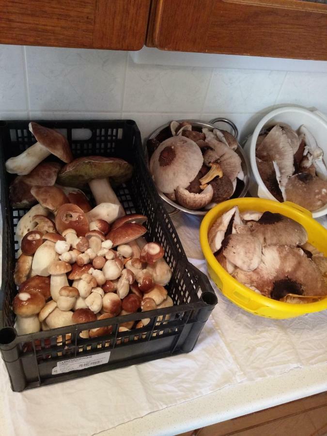 Sostanj Velenje Ravne Sobe Rooms Vrtacnik D O O Exteriör bild